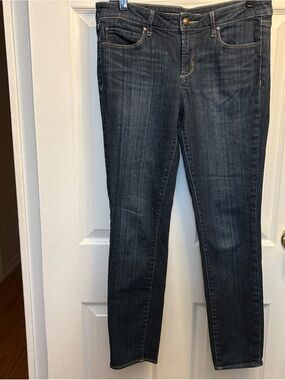 Society Skinny Jeans in Dark Blue Wash